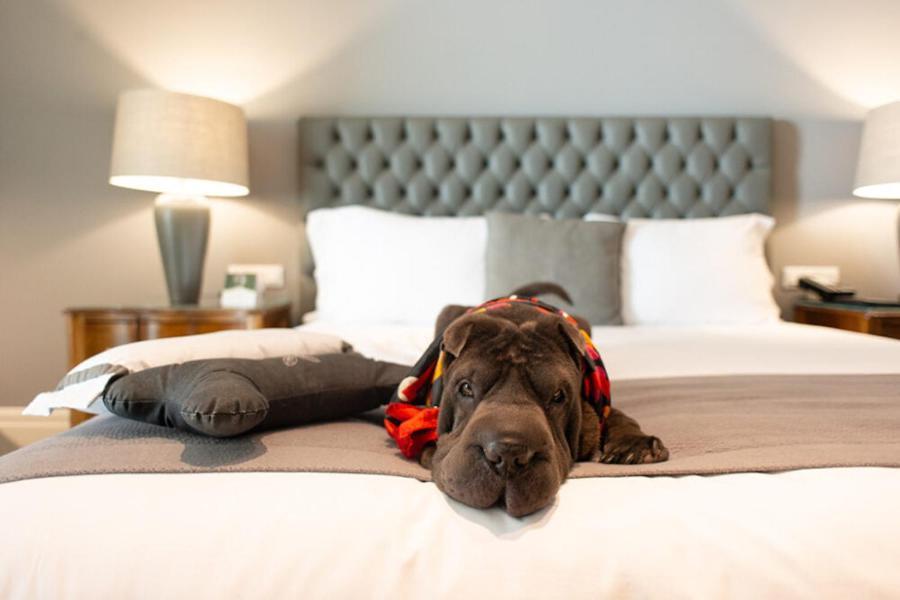 Grande Hotel Paranavai Экстерьер фото